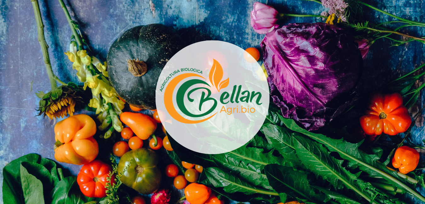 Bellan Azienda Agricola Biologica Bellan — foto 3